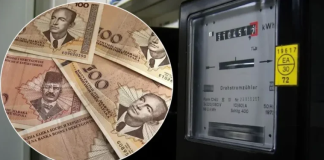 Skuplja struja od 1. februara 2026. godine: Evo koliko će rasti računi
