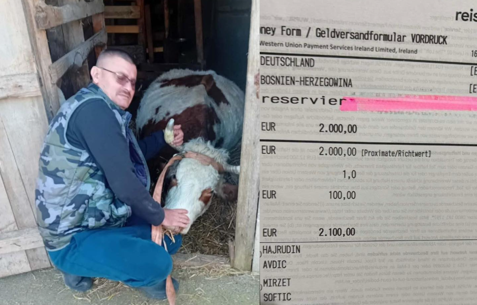 Porodici iz BiH uginula krava, humani čovjek im odmah kupio drugu