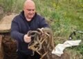 OTVORIO ŠAHT I OSTAO BEZ RIJEČI: Ono što je izvukao rukama šokiralo sve – čak šest zmija! (VIDEO)