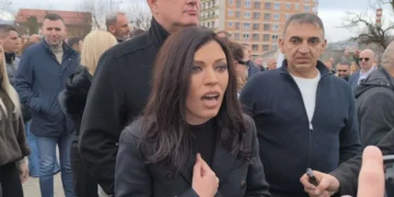ŠOK PORUKA: “Srbija se ne dira!” – Vulić uzvratila bez zadrške