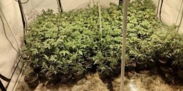 Poznat identitet Sarajke uhapšene zbog droge: Policija pronašla pet laboratorija