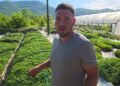 Odbio otići iz BiH, dao otkaz i izgradio posao sa 150.000 sadnica