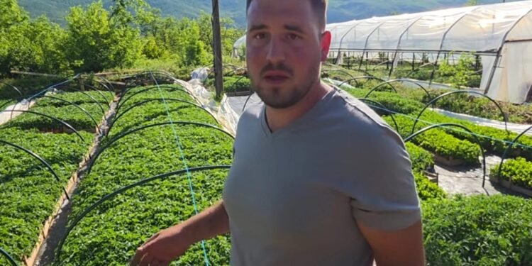 Odbio otići iz BiH, dao otkaz i izgradio posao sa 150.000 sadnica