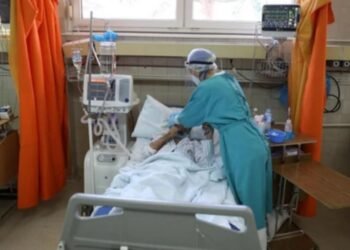U Bosni i Hercegovini registrovan slučaj hantavirusa: Evo koje organe napada