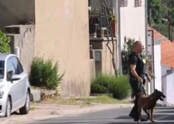 Ovo je muškarac koji je sinoć ubio maturanta koji mu je donio hranu. Policija: Opasan je i naoružan