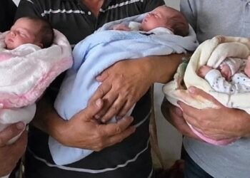 Lijepa i neobična priča iz Hercegovine: Trojica braće istoga dana postali djedovi