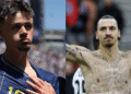 Emotivni Zlatan Ibrahimović nakon historijskog uspjeha BiH: “Naježim se, to su očevi korijeni”