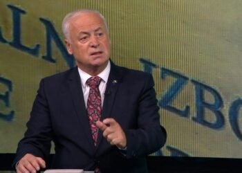Arnautović upozorio dijasporu: Ostalo je još 14 dana, a hiljade prijava nisu ispravne