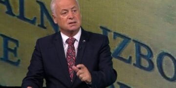 Arnautović upozorio dijasporu: Ostalo je još 14 dana, a hiljade prijava nisu ispravne