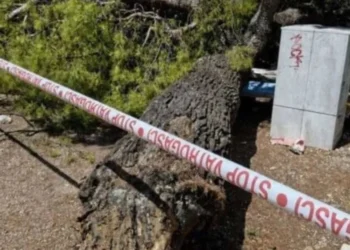 Drvo palo na kupače na plaži na Jadranu: Povrijeđeno četvero ljudi, među njima dvoje djece