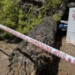 Drvo palo na kupače na plaži na Jadranu: Povrijeđeno četvero ljudi, među njima dvoje djece