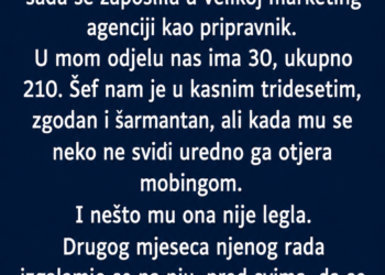 ŠEF JU JE PONIZIO PRED SVIMA: Nova pripravnica mu je odgovorila tako da je CIJELA FIRMA ZANIJEMILA!