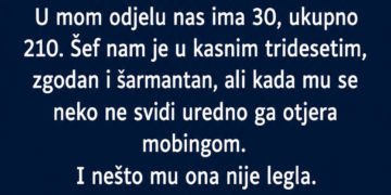 ŠEF JU JE PONIZIO PRED SVIMA: Nova pripravnica mu je odgovorila tako da je CIJELA FIRMA ZANIJEMILA!