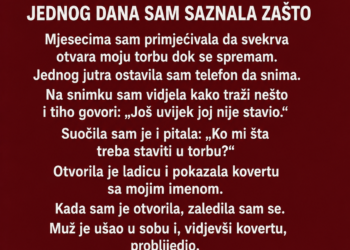 SVEKRVA JE SVAKOG JUTRA PROVJERAVALA MOJU TORBU PRIJE NEGO ŠTO ODEM NA POSAO – JEDNOG DANA SAM SAZNALA ZAŠTO