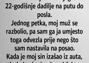 MUŽ JE SVAKOG JUTRA OSTAVLJAO SINA KOD MLADE DADILJE: Kad mi je dijete otkrilo ŠTA TATA RADI UNUTRA, ZALEDILA SAM SE!