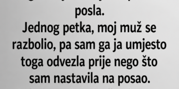 MUŽ JE SVAKOG JUTRA OSTAVLJAO SINA KOD MLADE DADILJE: Kad mi je dijete otkrilo ŠTA TATA RADI UNUTRA, ZALEDILA SAM SE!