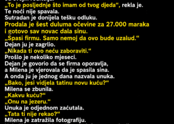MAJKA JE PRODALA ZEMLJU DA SINU SPASI FIRMU – A ONDA JE SLUČAJNO SAZNALA ŠTA JE ON KUPIO NJENIM NOVCEM
