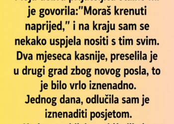 IZGUBILA SAM PETOGODIŠNJEG SINA, A ONDA SAM U STANU PRIJATELJICE UGLEDALA NEŠTO ŠTO ME JE SLOMILO!