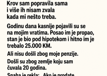 SNAHA JE REKLA DA MOJ SIN VIŠE NEMA OBAVEZU DA MI POMAŽE – A ONDA JE NJOJ ZATREBALO ONO ŠTO SAM ČUVALA 20 GODINA
