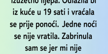 ČUVALA SAM DJEČAKA, A NJEGOVU MAJKU UGLEDALA NA TELEVIZIJI U 3 UJUTRO – ONDA SAM SAZNALA NJENU TAJNU