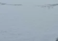 Pao je snijeg, izmjereno ga je osam centimetara