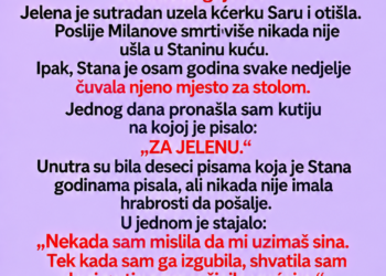 SVEKRVA JE SVAKE NEDJELJE POSTAVLJALA TANJIR ZA SNAHU KOJA JE OTIŠLA PRIJE 8 GODINA — A ONDA JE JEDNOG DANA NEKO POKUCAO NA VRATA