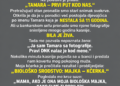 NA DAN KADA SAM PRODAVALA STAN POKOJNE SVEKRVE PRONAŠLA SAM FOTOGRAFIJU SVOJE KĆERKE – SNIMLJENA JE 11 GODINA PRIJE NJENOG ROĐENJA