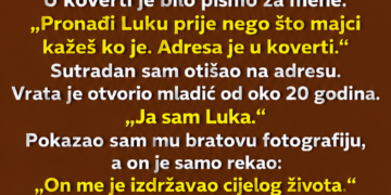 BRAT JE SVU IMOVINU OSTAVIO MLADIĆU ZA KOJEG NIKO NIJE ZNAO – KADA SAM SAZNAO KO JE LUKA, ZALEĐEN SAM OSTAO!