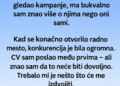 OTVORIO SAM LAŽNU STRANICU DA BIH DOBIO POSAO – TRI DANA KASNIJE STIGAO MI JE MEJL KOJI NISAM OČEKIVAO