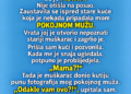 SNAJA JE SVAKOG PETKA OSTAVLJALA DJECU KOD MENE I GOVORILA DA IDE NA POSAO — JEDNOG DANA SAM JE PRATILA I VIDJELA KAKO ULAZI U KUĆU MOG POKOJNOG MUŽA…