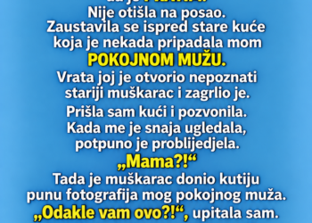 SNAJA JE SVAKOG PETKA OSTAVLJALA DJECU KOD MENE I GOVORILA DA IDE NA POSAO — JEDNOG DANA SAM JE PRATILA I VIDJELA KAKO ULAZI U KUĆU MOG POKOJNOG MUŽA…