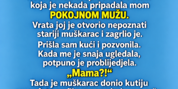 SNAJA JE SVAKOG PETKA OSTAVLJALA DJECU KOD MENE I GOVORILA DA IDE NA POSAO — JEDNOG DANA SAM JE PRATILA I VIDJELA KAKO ULAZI U KUĆU MOG POKOJNOG MUŽA…
