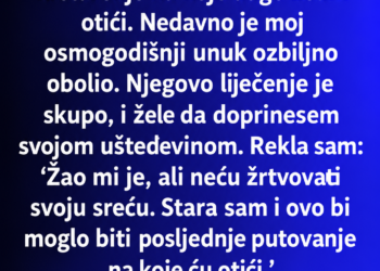 ODREKLA SAM SE PUTOVANJA IZ SNOVA ZBOG BOLESNOG UNUKA – A ONDA MI JE SIN DOŠAO NA VRATA SA KUTIJOM