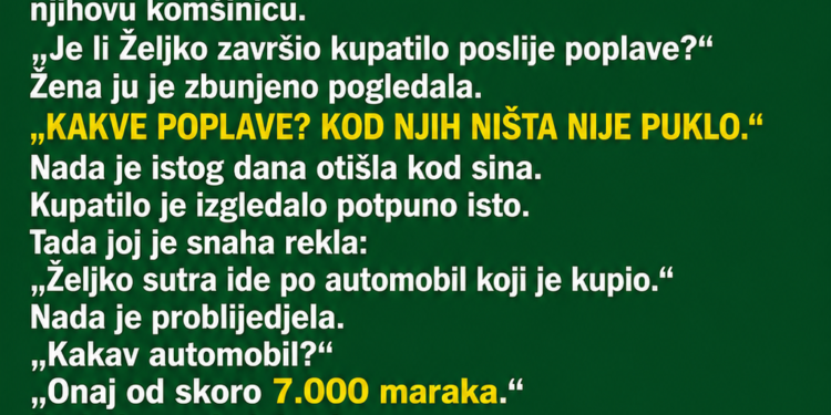SIN JE MAJCI TRAŽIO NOVAC ZA POPRAVKU STANA – A ONDA JE KOMŠINICA SLUČAJNO OTKRILA ISTINU