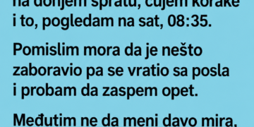 ČULA SAM NEKOGA U KUĆI I MISLILA DA SE MUŽ VRATIO – ONDA MI JE STIGLA NJEGOVA PORUKA: „JA SAM NA POSLU!“