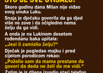 SNAJA JE ZABRANILA SVEKRU DA VIĐA UNUKA, A ONDA JE DJEČAK NA ROĐENDANU REKAO JEDNU REČENICU