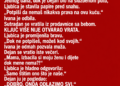 SVEKRVA JE SNAHI GODINAMA GOVORILA DA JE „SAMO GOST“ U NJENOJ KUĆI – A ONDA JE SIN OTKRIO ŠTA JE MAJKA RADILA IZA NJIHOVIH LEĐA