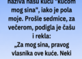 SVEKRVA JE TVRDILA DA JE KUĆA SAMO NJENOG SINA – A ONDA SAM ZA VEČEROM IZVADILA DOKUMENT KOJI JU JE OSTAVIO BEZ RIJEČI!