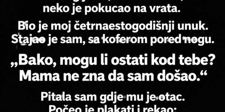 SIN MI SE NIJE JAVIO TRI MJESECA – A ONDA JE UNUK DOŠAO NA MOJA VRATA SA KOFEROM