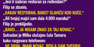 SNAHA JE SVEKRVI TRAŽILA NOVAC ZA UNUKOVU PROSLAVU – A ONDA JE BAKA SLUČAJNO ČULA ŠTA JE REKLA PRIJATELJICI