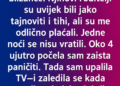 SA 17 GODINA ČUVALA SAM BLIZANCE – A ONDA SAM U 4 UJUTRO NA VIJESTIMA UGLEDALA NJIHOVE RODITELJE!