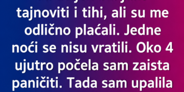 SA 17 GODINA ČUVALA SAM BLIZANCE – A ONDA SAM U 4 UJUTRO NA VIJESTIMA UGLEDALA NJIHOVE RODITELJE!