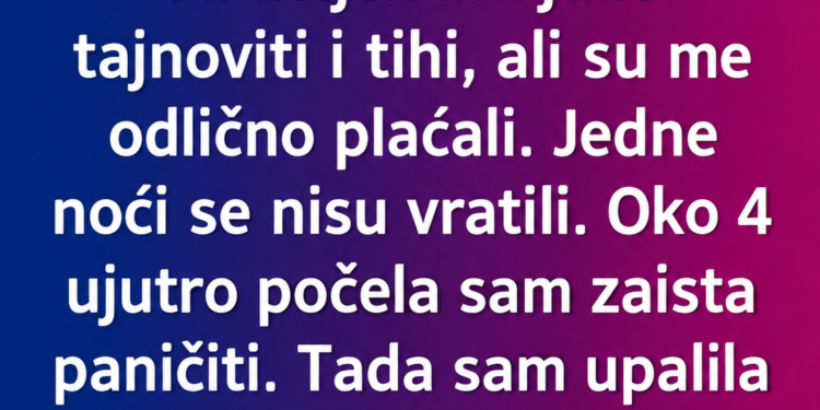 SA 17 GODINA ČUVALA SAM BLIZANCE – A ONDA SAM U 4 UJUTRO NA VIJESTIMA UGLEDALA NJIHOVE RODITELJE!
