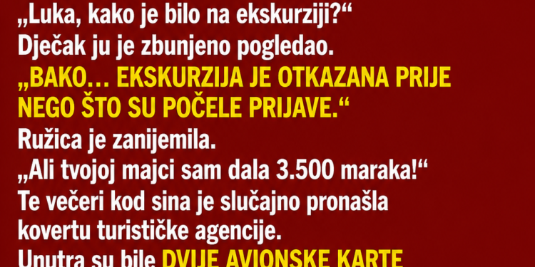SNAHA JE SVEKRVI TRAŽILA NOVAC ZA UNUKOVU EKSKURZIJU – A ONDA JE BAKA SLUČAJNO PRONAŠLA AVIONSKE KARTE
