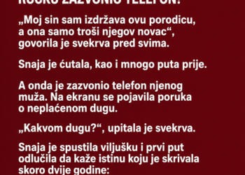 SVEKRVA JE GODINAMA PONIŽAVALA SNAJU, A ONDA JE NA PORODIČNOM RUČKU ZAZVONIO TELEFON
