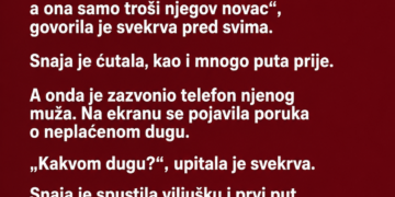 SVEKRVA JE GODINAMA PONIŽAVALA SNAJU, A ONDA JE NA PORODIČNOM RUČKU ZAZVONIO TELEFON