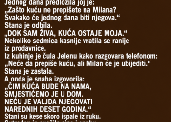 SNAHA JE SVEKRVI GODINAMA GOVORILA DA JE VOLI KAO MAJKU – A ONDA JE SVEKRVA SLUČAJNO ČULA ŠTA PLANIRA SA NJENOM KUĆOM