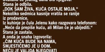 SNAHA JE SVEKRVI GODINAMA GOVORILA DA JE VOLI KAO MAJKU – A ONDA JE SVEKRVA SLUČAJNO ČULA ŠTA PLANIRA SA NJENOM KUĆOM