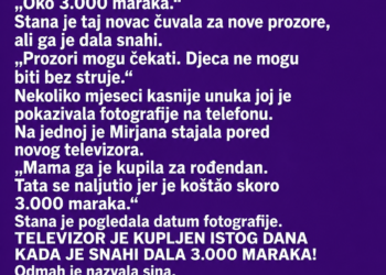 SNAHA JE SVEKRVI TRAŽILA NOVAC ZA RAČUNE – A ONDA JE UNUKA SLUČAJNO OTKRILA ŠTA JE KUPLJENO ISTOG DANA