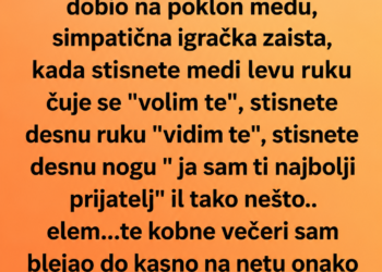 BRATOV MEDO JE USRED NOĆI REKAO „VIDIM TE“ — A ONDA SAM ISPOD KREVETA PRONAŠAO JOŠ JEDNOG